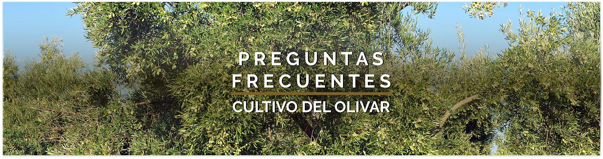 preguntas frecuentes cuidado